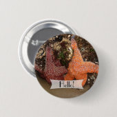 Persoonlijke kleurrijke Starfish/Zee Star Foto 3 Ronde Button 5,7 Cm (Voorkant /achterkant)