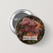 Persoonlijke kleurrijke Starfish/Zee Star Foto 5 Ronde Button 5,7 Cm (Voorkant /achterkant)