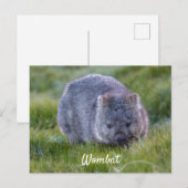 Persoonlijke Knuffel Wombat Dier Tasmanië Australi Briefkaart (Voorkant / Achterkant)
