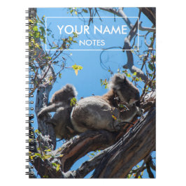 Persoonlijke Koalas Notitieboek