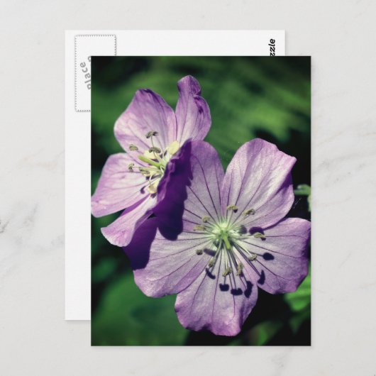 Persoonlijke Lavendel Geranium Bloemen Briefkaart (Voorkant / Achterkant)