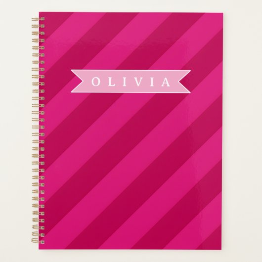 Persoonlijke Leuke Moderne Roze Streep Planner (Voorkant)