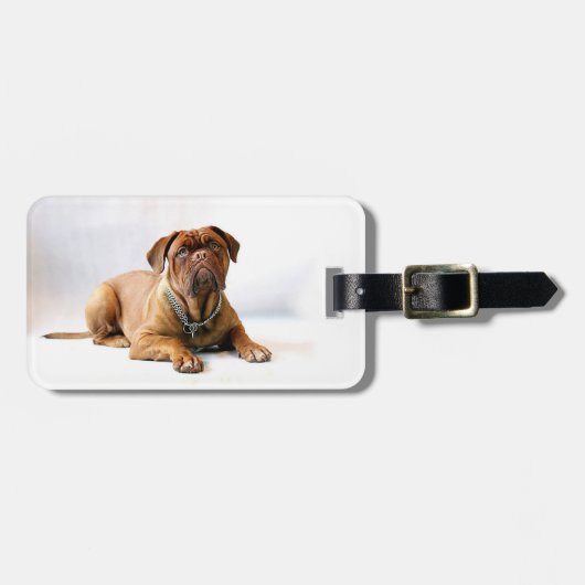 Persoonlijke Mastiff / Hond Foto Bagagelabel (Voorkant horizontaal)