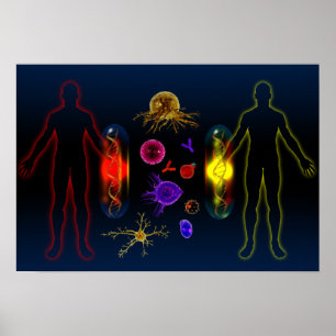 Persoonlijke medicatie poster