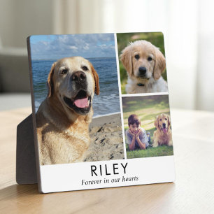 Persoonlijke Minimalistische Honden Herdenkingsfot Fotoplaat