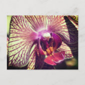Persoonlijke mooie orchidee bloem briefkaart (Voorkant)