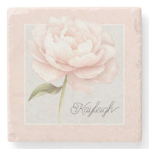 Persoonlijke mooie witte roze roos bloem