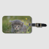 Persoonlijke Mopige Kitten Bagagelabel (Voorkant (horizontaal))