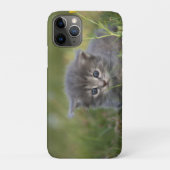 Persoonlijke Mopige Kitten Case-Mate iPhone Case (Achterkant)