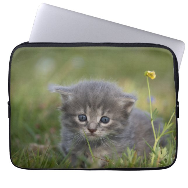 Persoonlijke Mopige Kitten Laptop Sleeve (Voorkant)
