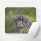 Persoonlijke Mopige Kitten Muismat (Met muis)