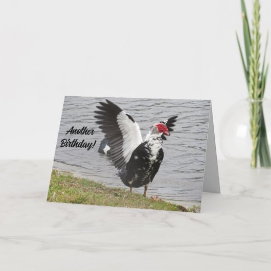 Persoonlijke Muscovy Eend Nog Een Verjaardag! Kaart (Voorkant)