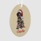 Persoonlijke naam Duitse Staande Hond Kerstmis Ornament (voorkant)