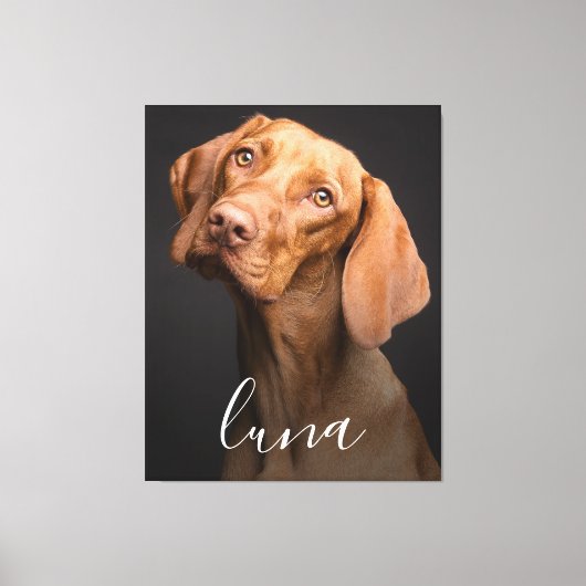 Persoonlijke naam foto huisdier canvas afdruk (Voorkant)