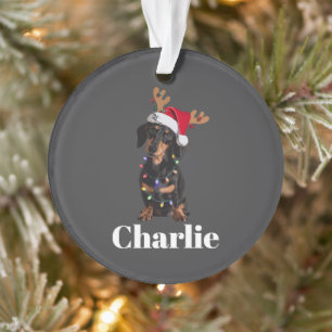 Persoonlijke naam kerst Dox Dachshund hondenlichte Ornament