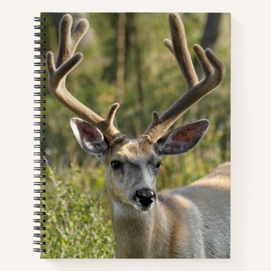 Persoonlijke naam Mule Deer Spiral Notitieboek (Voorkant)