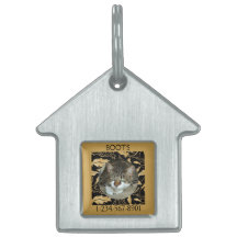 Persoonlijke namaak goudblad op zwarte kat