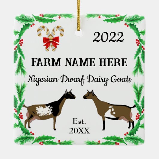 Persoonlijke Nigeriaanse Dwarf Dairy Goat Kerstmis Keramisch Ornament (Achterkant)