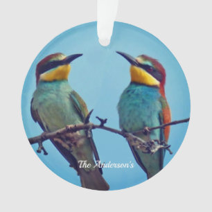 Persoonlijke op maat gemaakte kleurrijke vogels fo ornament