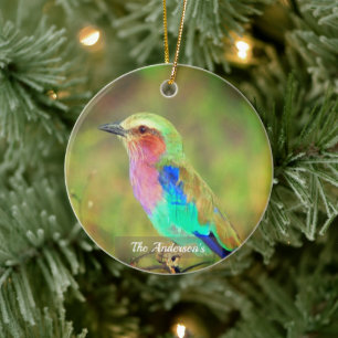 Persoonlijke op maat gemaakte multikleur vogel fot keramisch ornament