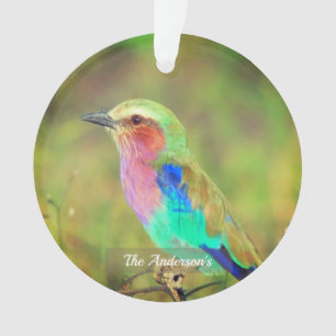 Persoonlijke op maat gemaakte multikleur vogel fot ornament