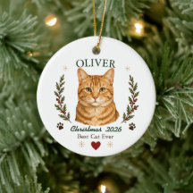 Persoonlijke Oranje Tabby Kat Kerstmis