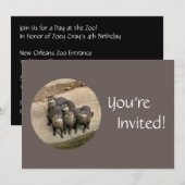 Persoonlijke otterdag bij de zoo Birthday Party Kaart (Voorkant / Achterkant)