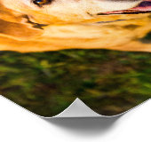 Persoonlijke oudere hond-herdenkingsfoto poster (Hoek)