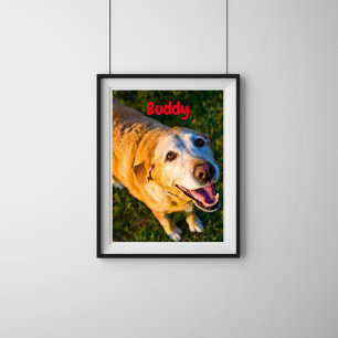 Persoonlijke oudere hond-herdenkingsposter met fot poster