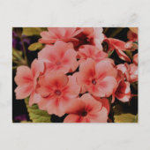 Persoonlijke Perzik Primula Bloemen Briefkaart (Voorkant)