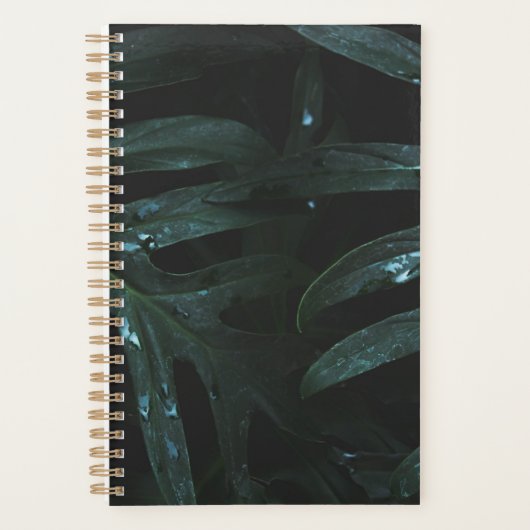 Persoonlijke Planner met Positieve Bevestigingen (Voorkant)