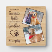 Persoonlijke Pootafdrukken Huisdier Herdenkingsfot Fotoplaat (Voorkant)