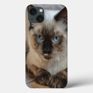Persoonlijke Ragdoll Kat Foto en Naam Case-Mate iPhone Case