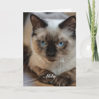 Persoonlijke Ragdoll Kat Foto en Naam Kaart