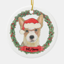 Persoonlijke Red Heeler Cattledog