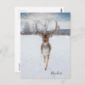 Persoonlijke rendierfoto briefkaart (Voorkant / Achterkant)