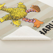 Persoonlijke Retro Art Big Bird Sherpa Blanket Sherpa Deken (3/4)