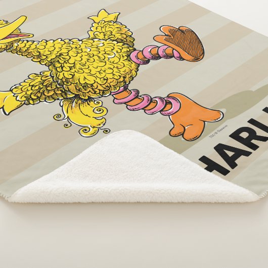 Persoonlijke Retro Art Big Bird Sherpa Blanket Sherpa Deken (3/4)