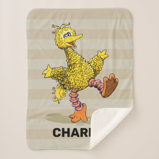 Persoonlijke Retro Art Big Bird Sherpa Blanket Sherpa Deken (Voorkant)