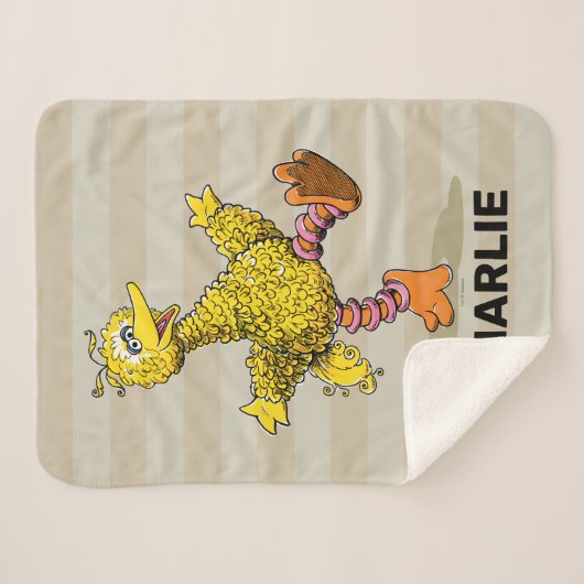 Persoonlijke Retro Art Big Bird Sherpa Blanket Sherpa Deken (Voorkant (horizontaal))