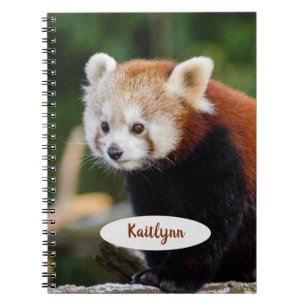Persoonlijke Rode Panda Notitieboek