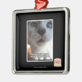Persoonlijke ruimte metalen ornament (Links)