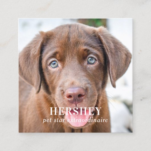 Persoonlijke sociale media 2 Foto QR-code Vierkante Visitekaartje (Voorkant)