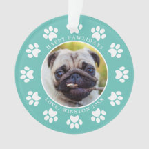 Persoonlijke Teal Gelukkig Pawlidays Hond Foto