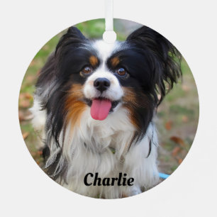 Persoonlijke Tri Kleur Papillon Puppy Hond Metalen Ornament