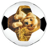 Persoonlijke trofee voetbal (Gedraaid)