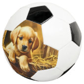 Persoonlijke trofee voetbal (Drie kwart)