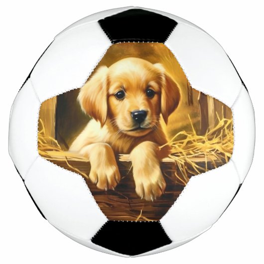 Persoonlijke trofee voetbal (Voorkant)