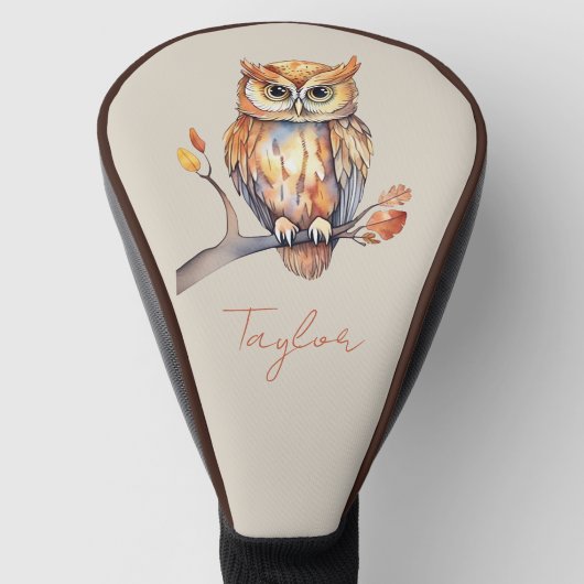 Persoonlijke Uil Golfheadcover