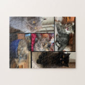 Persoonlijke uw 5 foto puzzel Perzische kat (Horizontaal)